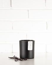 Load image into Gallery viewer, Romeo & Juliet