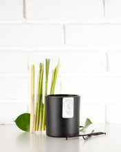 Load image into Gallery viewer, Candied Lemon (Lemon Vanilla)