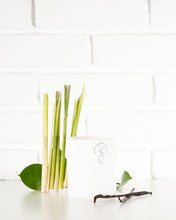 Load image into Gallery viewer, Candied Lemon (Lemon Vanilla)