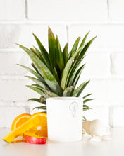 Load image into Gallery viewer, Sex on the Beach