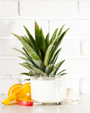 Load image into Gallery viewer, Sex on the Beach